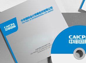 中審國際會計師事務所企業VI系統制作