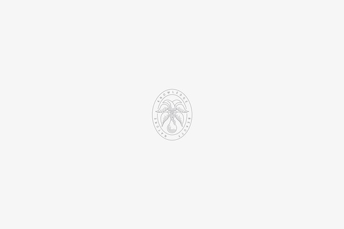 化妝品商標怎么設計？化妝品商標設計欣賞-4